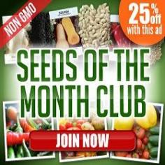 The Seeds of the Month Club from Mike the Gardeners delivers open pollinated, heirloom, non-GMO seeds to your mailbox.  I can't wait to plant my first delivery into our heirloom garden! Mike the Gardener’s Seeds of the Month Club » 1840farm.com