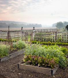 This Ohio kitchen garden is planted with lettuces, basil, chard, and dandelion greens. #gardens