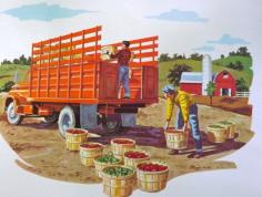 Teaching Pictures Farm Agriculture Picture Gardening Picture Vegetables