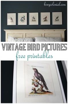 Great source for FREE Printables like these Vintage Birds