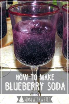 Overloaded with blueberries and do not want to make any more jam or dehydrate them? Try making your own Blueberry Soda! YUMM this stuff is awesome!