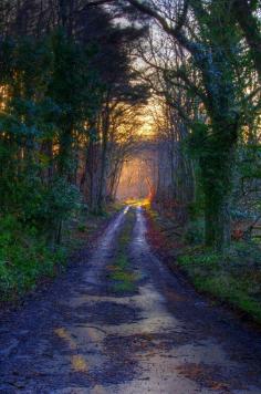 Maidens, Ayrshire, Scotland     Don’t Stray From The Path! (by WullieS)