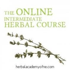 1840 Farm is Joining The Herbal Academy of New England! » 1840farm.com
