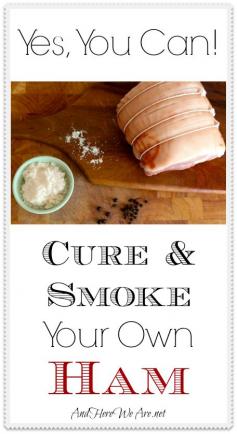 Cure and Smoke Your Own Ham at Home-- it's easier than you'd think! | And Here We Are... #diy #charcuterie #ham #pork #paleo