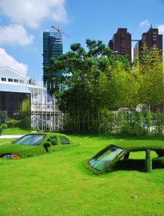 Two Cars Consumed by a Sea of Grass - My Modern Metropolis