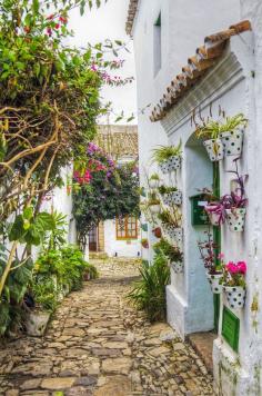 djferreira224:  Beautiful streets in Castellar de la Frontera, Andalusia, Spain