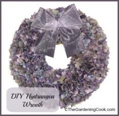 DIY hydrangea wreath is such an easy project.  You only need three things to do it.  thegardeningcook....