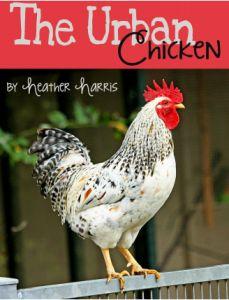 Book Review:  The Urban Chicken...even if you have read other chicken books this is a must read for the serious chicken owner! #chickens #farmlife #homesteading #booklovers