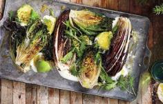 Grilled Lettuces with Crème Fraîche and Avocado photo