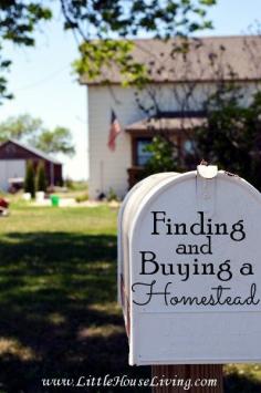 Awesome tips on Finding and Buying a Homestead, things you might never think of and expenses that must be considered! #pioneersettler