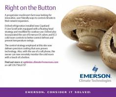 Right on the Button - Mushroom farm finds a user-friendly way to control the climate.
