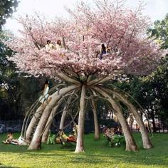 Behold the ultimate tree house! What: “The Patient Gardener” project using ten Japanese cherry trees Where: School campus in Milan, Italy Who: Designed by Swedish architects Visiondivision Why: A two-story “treehouse” study retreat for students. The vision: a green environmental project where construction works with the timeframe nature sets. The trees are bent and pruned into shape. When: In other words, the project will be done in about 60 years!