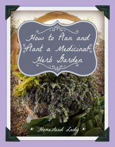 How to plan and plant a medicinal herb garden - www.homesteadlady...