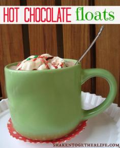 Hot Chocolate Floats - with peppermint ice cream!