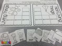 Printable activities for Living and Non Living things