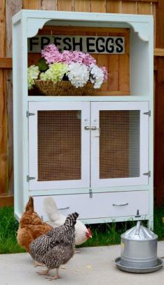 Ana White | Build a Chick Brooding Cabinet | Free and Easy DIY Project and Furniture Plans
