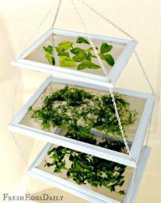 Fresh Eggs Daily®: DIY Tiered Herb Drying Rack Using Repurposed Picture Frames Plus Dried Herbal Supplement for your Chickens