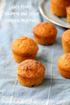 {Dairy Free} Cinnamon and Sugar Pumpkin Muffins