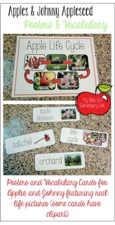 Apples! Apples! Apples! Posters, Vocabulary Cards activities, readers, hands on learning fun and so much more