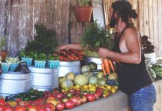 sonoma broadway farms: farm stand