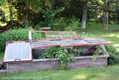 Already mourning the decline of your summer garden? With this easy-to-construct cold frame, you’ll have fresh greens all winter.