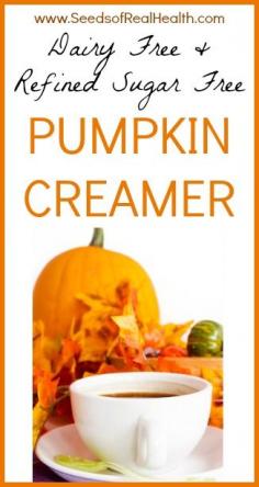 Dairy Free Paleo Pumpkin Creamer (Vegan friendly)