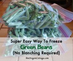 From anoregoncottage.com --how to freeze green beans without blanching. I have pickled 42 pints of green beans so far this summer and faced with more green beans, I think I'll try freezing!