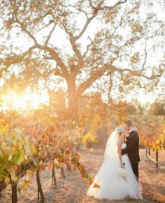 A Black & White California Vineyard Wedding // Photo:  Meagan Ramirez at The Collective Photographers // Feature: TheKnot.com