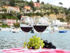 Pair of wineglasses and grapes against the harbour of Portvenere| Italy’s Wine Country: An Introduction