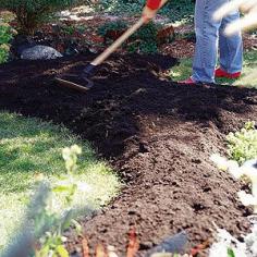 Create a no-dig garden bed