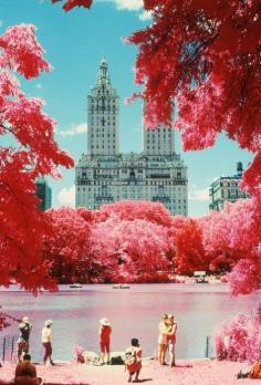 Central Park, NYC