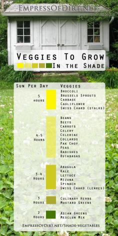 Veggies to grow in the shade at empressofdirt.net... Lots of options including broccoli, spinach, kale, carrots, and more! | See how many veggies you can grow in the shade including broccoli, spinach, kale, salad greens and more.