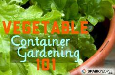 You don't have to have a lawn--or tear yours up--to have a fruit and vegetable garden. A Beginners Guide to Container Vegetable #Gardening | via @SparkPeople