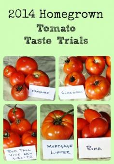 2014 Tomato Taste Trials via Better Hens and Gardens