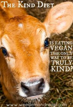 The Kind Diet: Is eating VEGAN the only way to be truly kind? #farming #animals #veganism