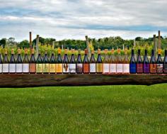 101 Best Wineries in America