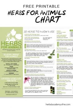 Awesome FREE chart - herbs for animals (dosage, herbs, recipes)