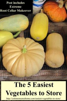 The 5 Easiest Vegetables to Store and the Awesome Root Cellar Makeover #foodstorage #rootcellar