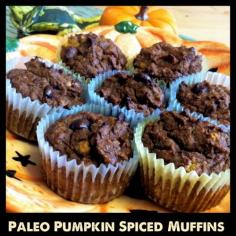 
                        
                            Grain Free Pumpkin Spiced Muffins - so easy. Love these! #paleo
                        
                    