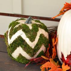 This DIY pumpkin is a surprising pop of green for your Autumn decorations. Chevron Moss Pumpkin Tutorial