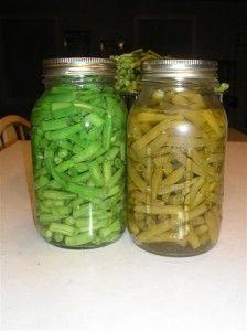 
                        
                            canning green beans
                        
                    