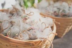 
                        
                            mini terrarium kit #favors wrapped in tulle - photo www.hazelwoodphot... - view more from this #wedding
                        
                    