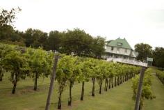 Indian Creek Village Winery & Village Inn near Enid offers a winery and charming B&B overlooking the vineyards.