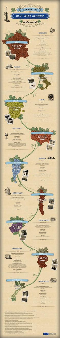Wine Infographic - A Guide to the Best Wine Regions in the World