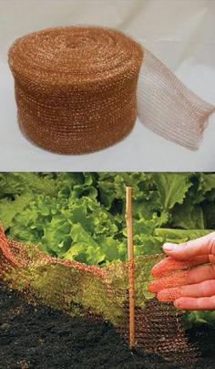 
                        
                            Placed around gardens, this pure copper wire mesh repels snails and slugs, because they don't like touching copper. It can also be cut to length to stuff in cracks, gaps or other small openings in buildings to block birds or rodents or other animals.
                        
                    