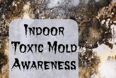 How to deal with indoor mold - Toxic mold awareness and tips.