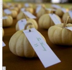 
                        
                            Pumpkin Theme Wedding Ideas, Cinderella comes to mind good idea for k's wedding!  Do you have a pumpkin patch somewhere near the house?  I could make jilene go with me if you're working?  They Also have a picture of the guest cards tied to apples (on the stem). That was really cute too!
                        
                    