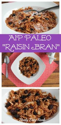 EASY AIP Paleo Raisin Bran Recipe (Only 3 Ingredients!) @ Healy Eats Real #AIP #autoimmune #paleo #nutfree #grainfree #glutenfree #breakfast