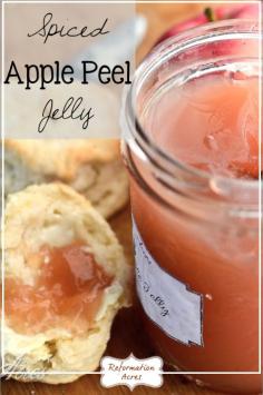 Don't throw away those apple peels! Instead make a cinnamon spiced, apple peel jelly! Oh my, it's SO GOOD slathered on a buttermilk biscuit!