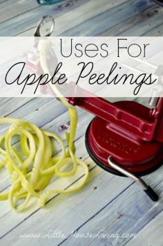 Uses for Apple Peels | Little House Living | Many apple recipes leave behind a great deal of apple peels. In the past I've always fed apple scraps to my chickens, but in the last year I wanted to try something new and see if I could find some great new uses for apple peels. Even a moderate sized batch of applesauce can leave a decent pile of apple peels. Many of the apple’s nutrients are stored in the peel so it seems a waste to throw them out. Here are just some of the great uses for these peels!